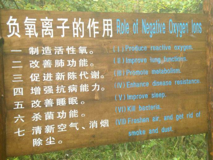 森林大環(huán)境監(jiān)測為什么要做負(fù)氧離子監(jiān)測項？