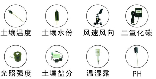 【智慧農業物聯網百科】傳感器在農業物聯網系統建設中的重要作用