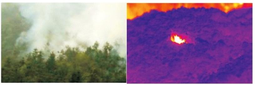 森林防火在線監測系統設備